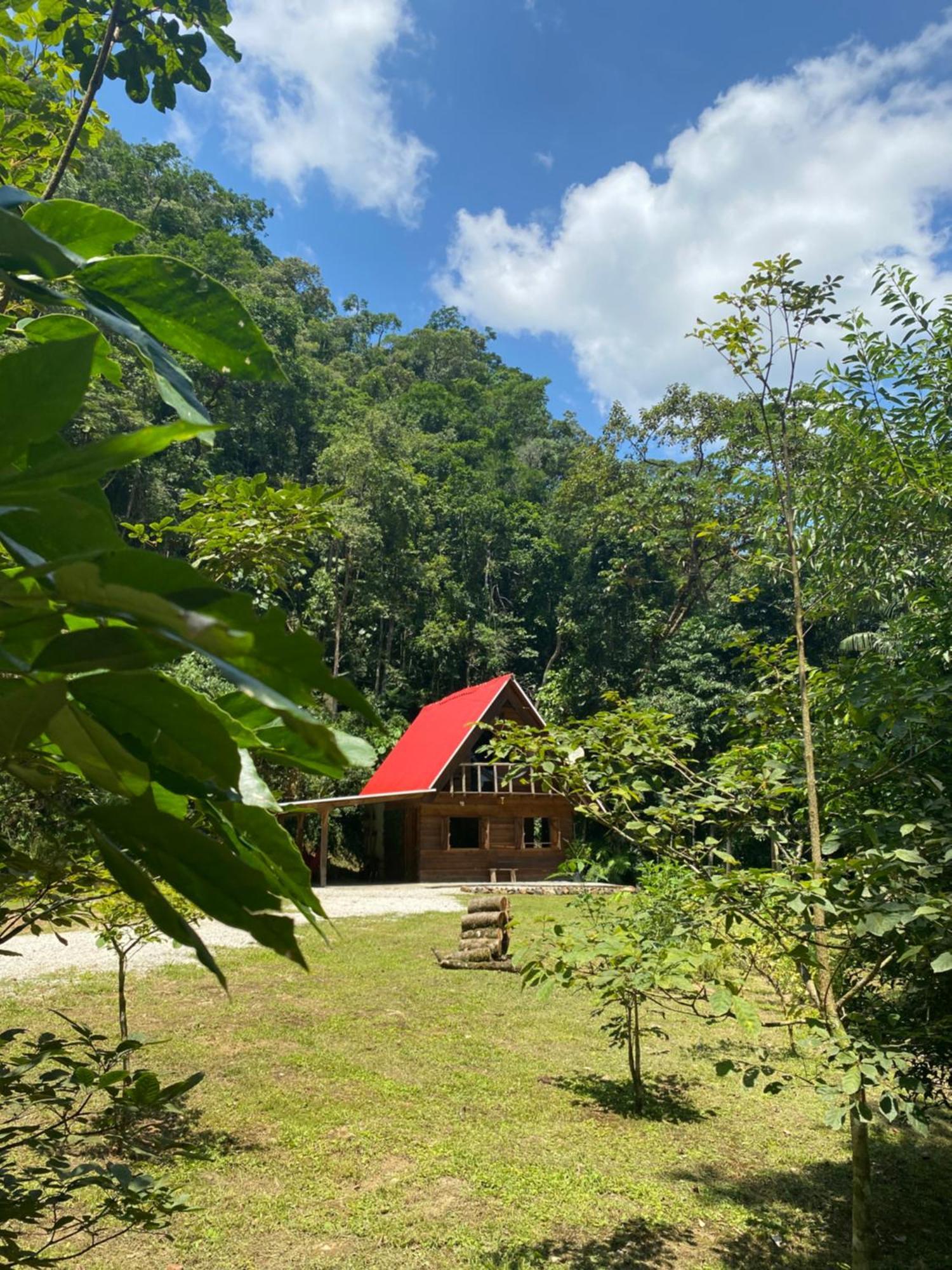 Chale Em Meio A Natureza! Guabiruba Kültér fotó